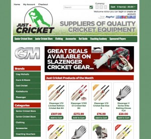 just-cricket-ashfield